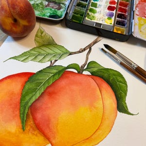 May include: A watercolor painting of two peaches with green leaves on a branch, positioned next to a metal watercolor paint set and two paintbrushes. A real peach sits in the upper left corner, mirroring the colors of the painted fruit.