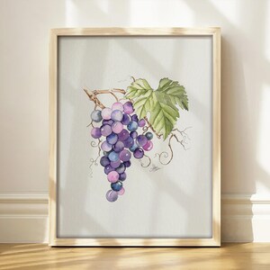 Set of Six Watercolor Prints | Signed Fine Art Prints on Textured Watercolor Paper | Botanical Fruit Art | Farmhouse Kitchen Wall Decor image 3