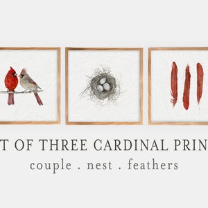 Cardinal Watercolor Art Print  Download ~ jpg ~ Printable Northern Cardinal birds ~ set of 3 printable art ~ feather egg bird pair spring