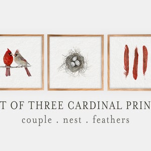Cardenal acuarela arte impresión descargar ~ jpg ~ pájaros cardenales del norte imprimibles ~ conjunto de 3 arte imprimible ~ pluma huevo pájaro par primavera