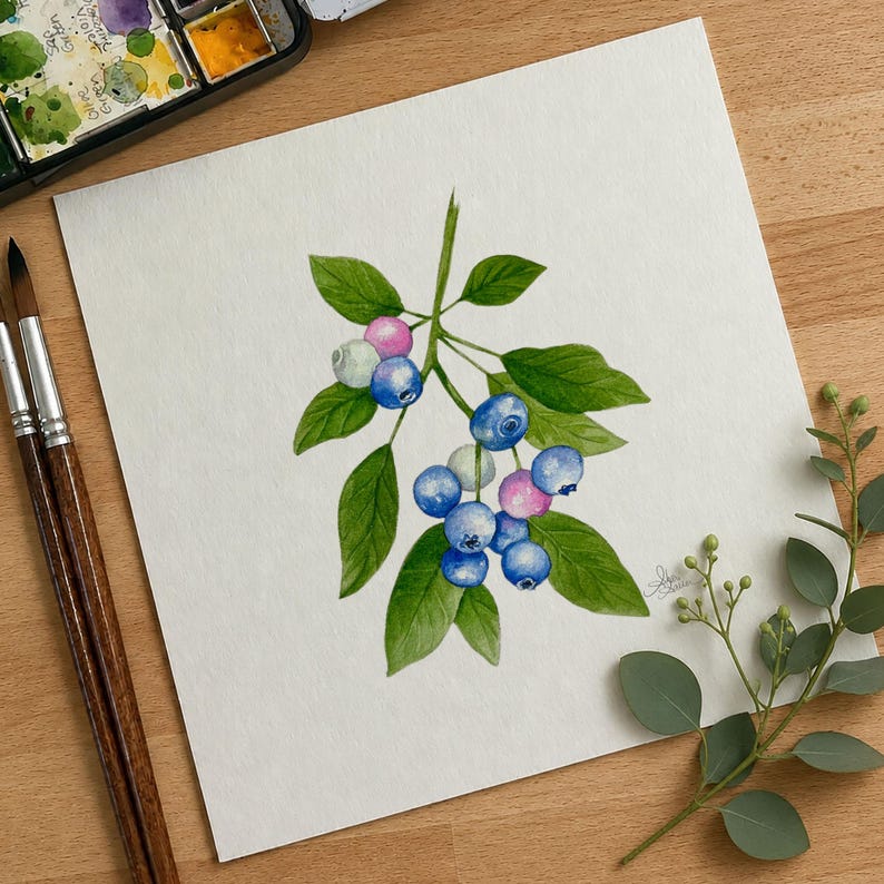 May include: A watercolor painting on white paper depicting a blueberry branch with green leaves and several round berries in shades of blue, light blue, and pink. The artwork features a signature in the bottom right corner and is rendered in a realistic style.