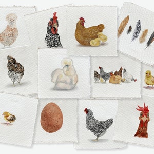 May include: A collage of watercolor paintings featuring chickens and chicks. The images include a brown hen with chicks, a white hen with chicks, a black and white hen, a brown hen, a white hen, a brown egg, and a chick.