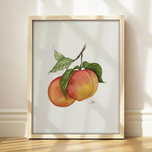 May include: A framed botanical watercolor illustration of two peaches hanging from a brown stem with several green leaves. The peaches feature a gradient of yellow, orange, and red hues. The artwork is set within a light-colored wooden frame.