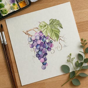May include: A watercolor painting on square paper depicting a cluster of purple and blue grapes hanging from a brown vine with a large, serrated green leaf. The artwork features delicate tendrils and a small signature near the grape cluster.