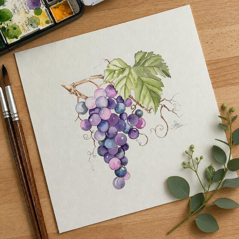 May include: A watercolor painting on square paper depicting a cluster of purple and blue grapes hanging from a brown vine with a large, serrated green leaf. The artwork features delicate tendrils and a small signature near the grape cluster.