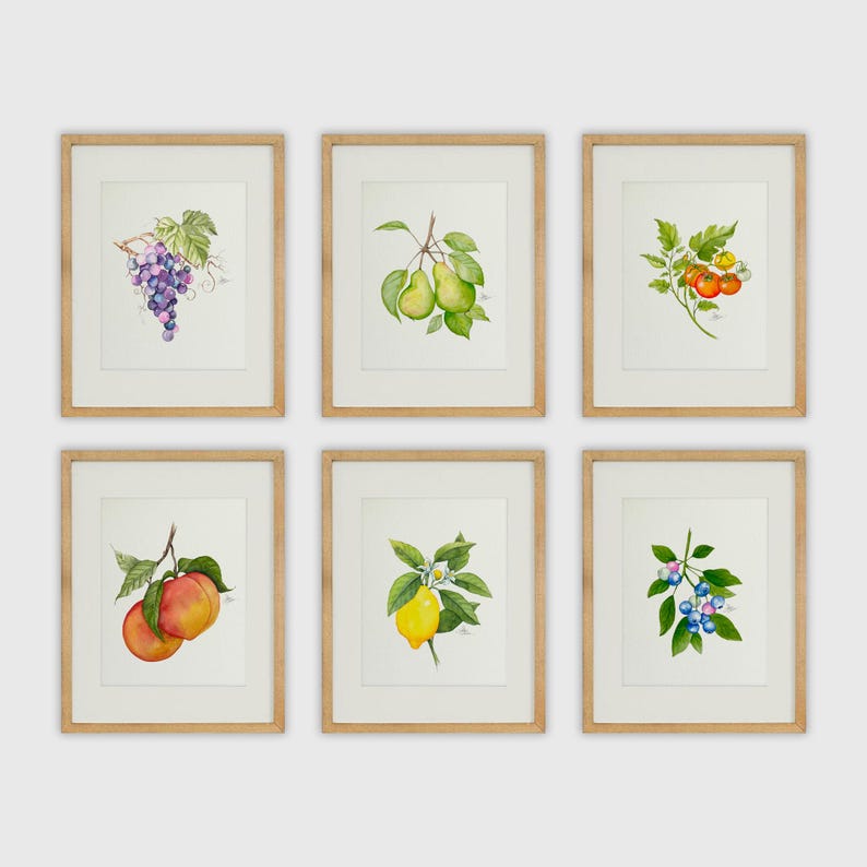 Set of Six Watercolor Prints | Signed Fine Art Prints on Textured Watercolor Paper | Botanical Fruit Art | Farmhouse Kitchen Wall Decor image 1