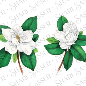 Download digital de aquarela Magnólia ~ pdf e png para emoldurar ou sublimação ~ impressão vertical ~ download digital de arte de parede ~ pintura