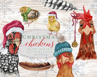 CHRISTMAS Chickens Watercolor Clipart Collection - Funny - PNG - Download - Farm Animals - Hen - Chick - Feather - Clip Art - Holiday
