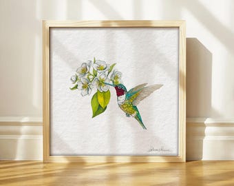 HUMMINGBIRD flying print 8x10, 5x7, 4x6, 6x6 ~ square print ~ watercolor wall decor ~ painting ~ art print ~ signed ~ bird print ~ bird art