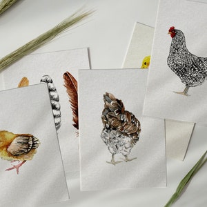 Poulets Aquarelle Art Collection - Cartes de notes - PNG - JPG - Téléchargement instantané - Animaux de ferme - Poule - Poussin - Oeuf - Carte - Imprimable - Blanc