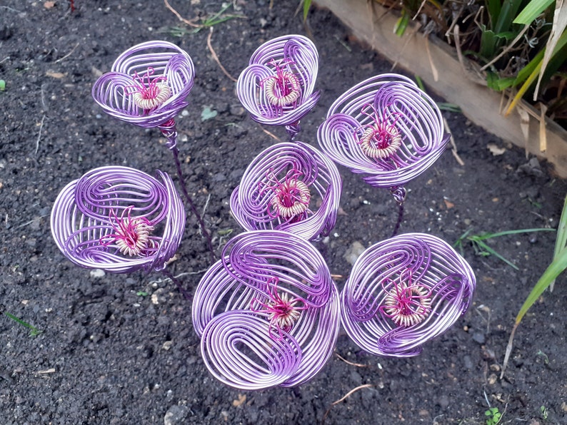 Seven Mauve Wire Roses