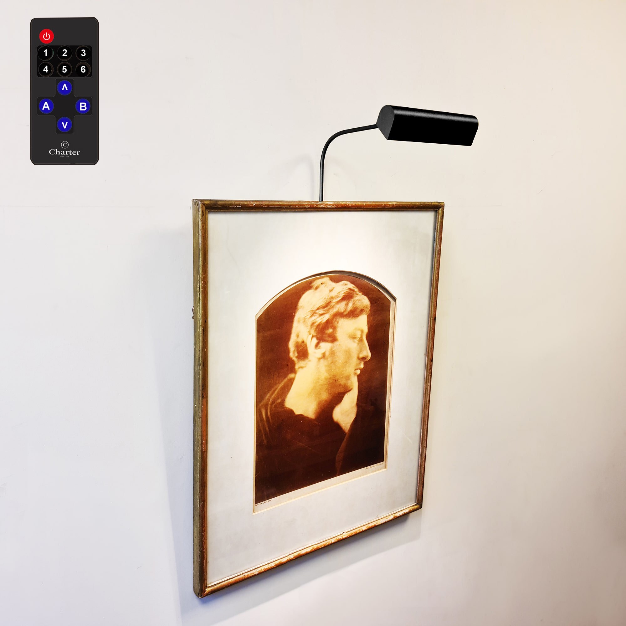 6 Inch Battery Operated LED Picture Light for Art, Paintings and