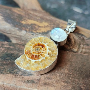 Ammonite Fossil With Moonstone Pendant, 925 Sterling Silver Necklace, Moonstone  Jewelry, Handmade Pendant, Gift For Mother, Valentine Gifts