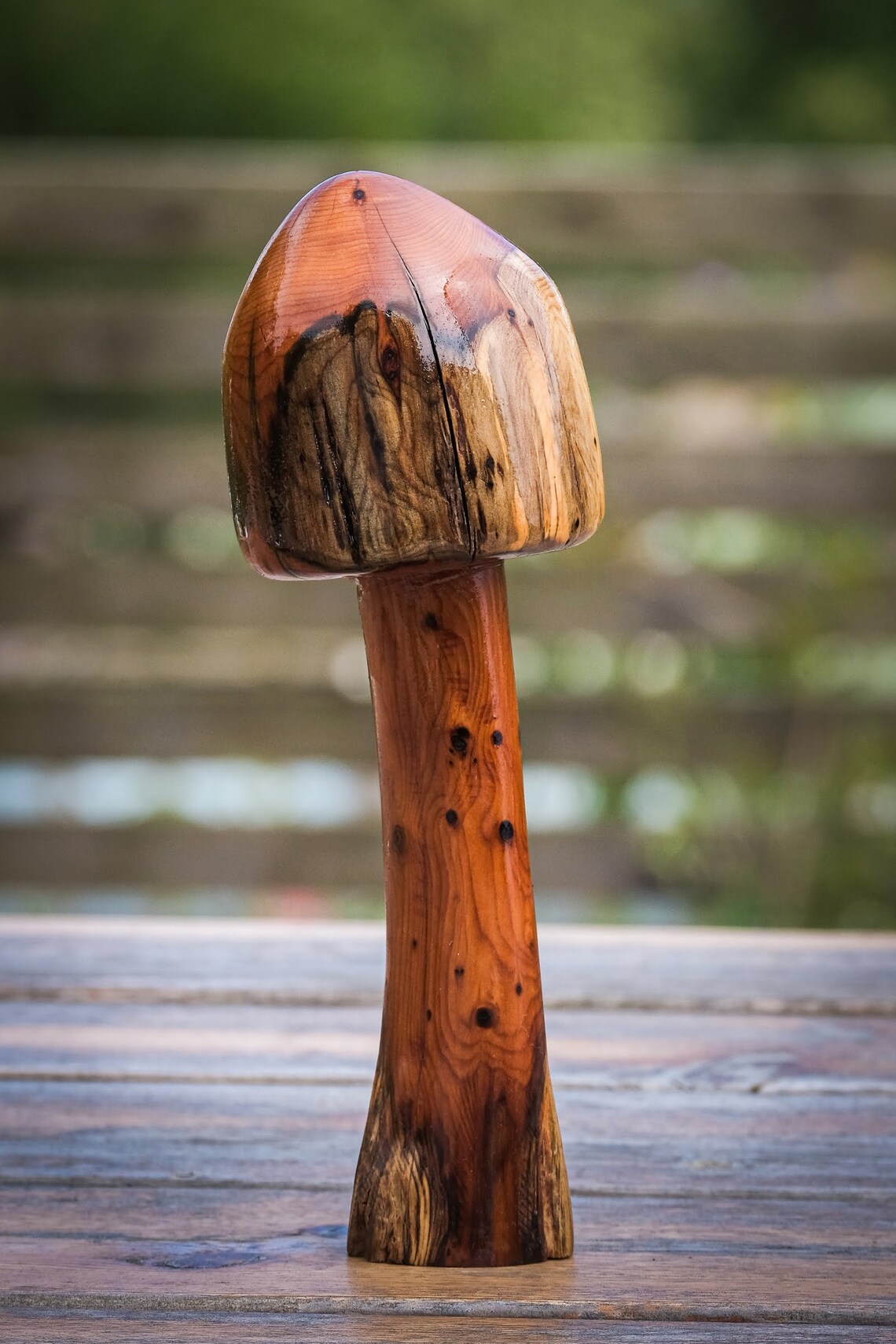 Yew carved wood mushroom Etsy