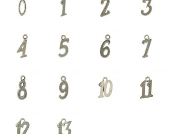 May include: A set of 13 silver-toned metal number charms, each charm is shaped like a number from 0 to 13. The charms are arranged in four rows, with the first row containing numbers 0 through 3, the second row containing numbers 4 through 7, the third row containing numbers 8 through 11, and the fourth row containing numbers 12 and 13.