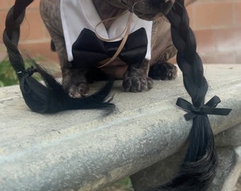 Handmade Wednesday Adams cat/pet wig