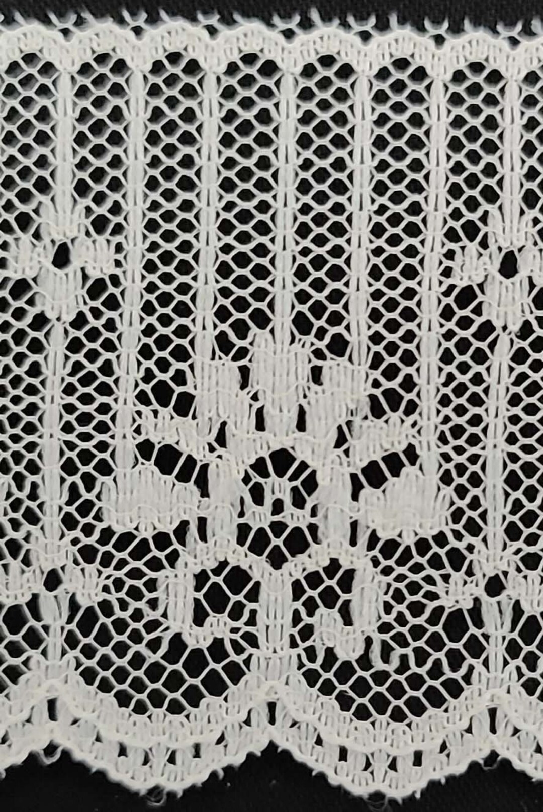 Rascal Lace 1-3/4