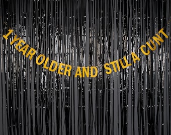 1 Year Older And Still A Cunt -  GOLD or SILVER - Birthday Party Banner - Adult Birthday Party Banner - Hanging Glitter Party Banner