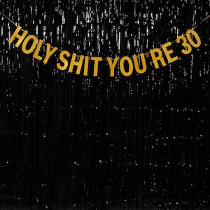 Holy Shit You're 30 - Blue/Pink/Gold/Silver - Rude Party Banner - 30th Birthday Party Banner - 30 Birthday Party - Hanging Glitter Banner image 3