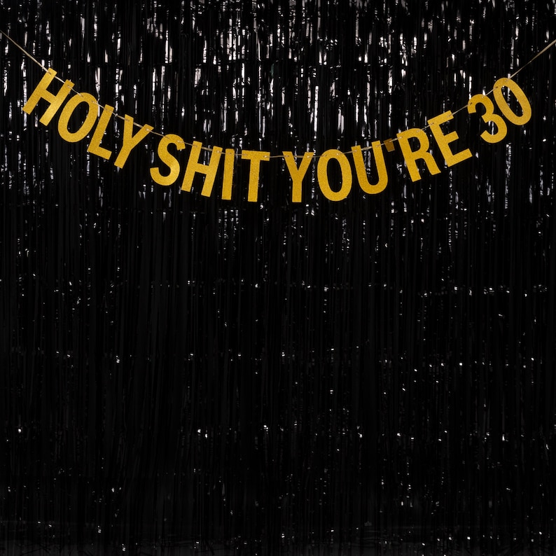 Holy Shit You're 30 - Blue/Pink/Gold/Silver - Rude Party Banner - 30th Birthday Party Banner - 30 Birthday Party - Hanging Glitter Banner image 3