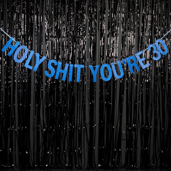 Holy Shit You're 30 - Blue/Pink/Gold/Silver - Rude Party Banner - 30th Birthday Party Banner - 30 Birthday Party - Hanging Glitter Banner