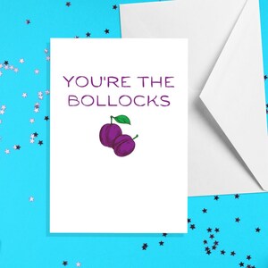 Jij bent de Bollocks - A5-kaart - Grappige volwassen humorkaarten door offensieve gelegenheden