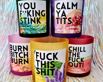 Funny Candles - 5 Options - Funny Gift Candle - Rude Candle - Rude Hand-Poured Candle - 100% Soy Wax - Frosted Glass Candle - Profanity Gift