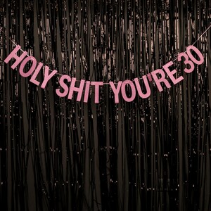 Holy Shit You're 30 - Blue/Pink/Gold/Silver - Rude Party Banner - 30th Birthday Party Banner - 30 Birthday Party - Hanging Glitter Banner image 2