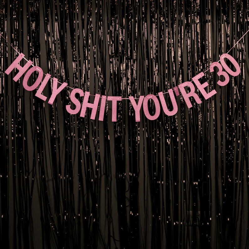 Holy Shit You're 30 - Blue/Pink/Gold/Silver - Rude Party Banner - 30th Birthday Party Banner - 30 Birthday Party - Hanging Glitter Banner image 2