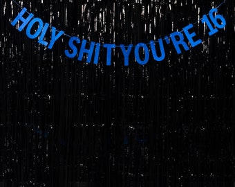 Holy Shit You're 16 - BLUE or PINK - Rude 16th Party Banner - 16th Birthday Party Banner - 16th Birthday Party - Hanging Glitter Banner