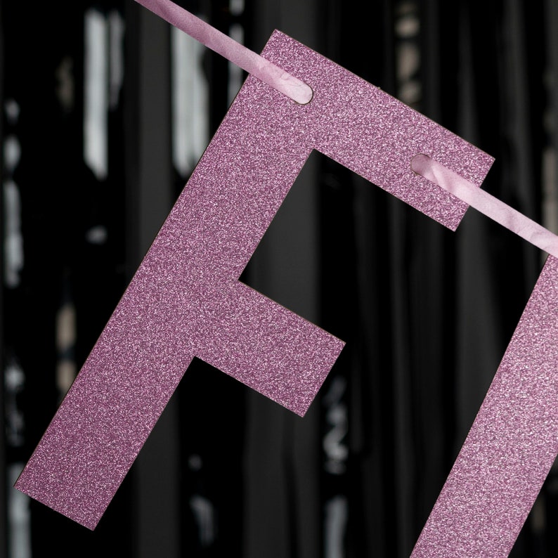 Holy Shit You're 30 - Blue/Pink/Gold/Silver - Rude Party Banner - 30th Birthday Party Banner - 30 Birthday Party - Hanging Glitter Banner image 6