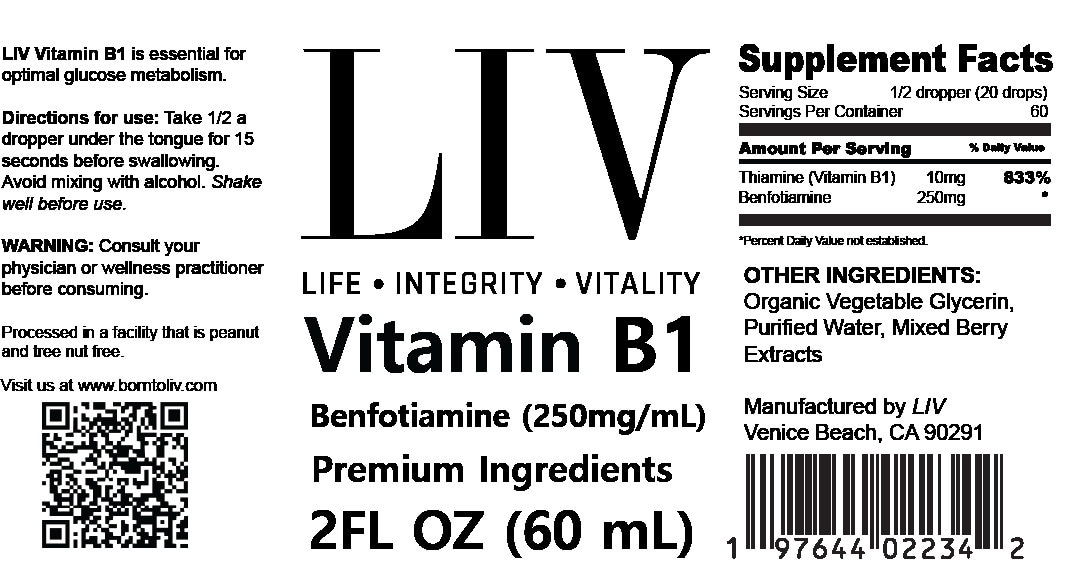LIV Vitamin B1 Thiamine Liquid benfotiamine 250mg, 60 Servings Etsy