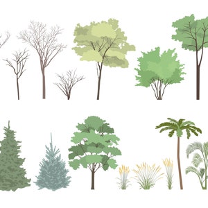 15 Set of Flat Vector Trees Clipart - Flat Vector Plant Illustration ...