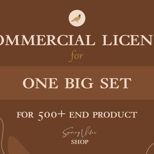 Extended Commercial License for one BIG SET