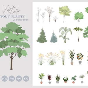 25 BIG Set of indoor and outdoor Plants Clipart - Flat Vector Plant Illustration AI - SVG - Png