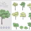 10 Set of Flat Vector Trees Clipart - Flat Vector Plant Illustration ...