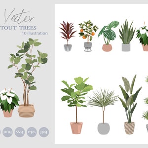 Set of House Plants Clipart - Flat Vector Plant Illustration AI - SVG - PNG