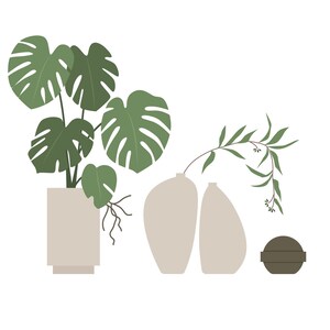 May include: A green monstera plant in a beige pot, two beige vases with a green eucalyptus branch, and a brown round object.