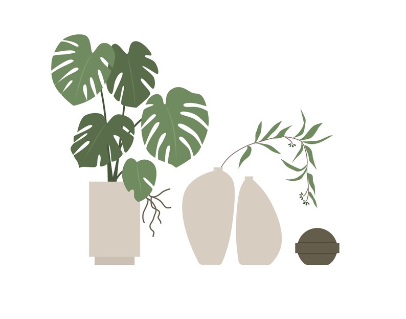 May include: A green monstera plant in a beige pot, two beige vases with a green eucalyptus branch, and a brown round object.