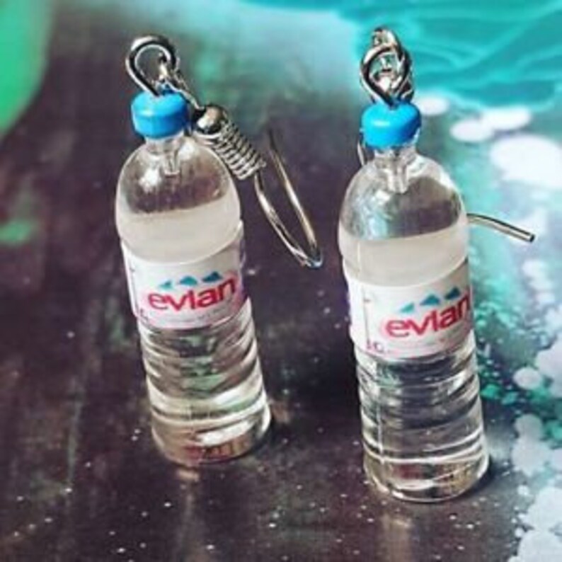 Novelty earrings Evian bottle earrings water bottle Etsy