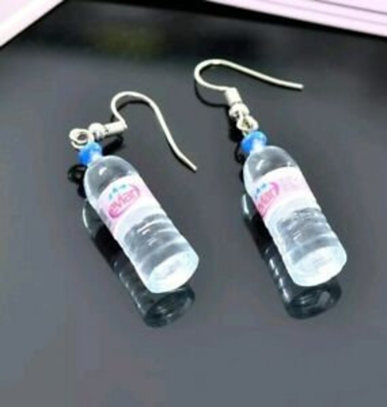 Novelty earrings Evian bottle earrings water bottle Etsy