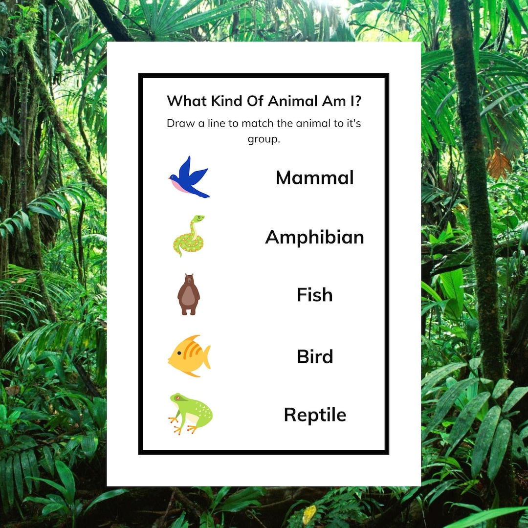 Animal Worksheet Printable for Kids and Toddlers, Animal Activity for ...