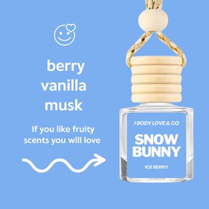 Scented Car Diffuser | Hanging Air Diffuser | Winter Scent