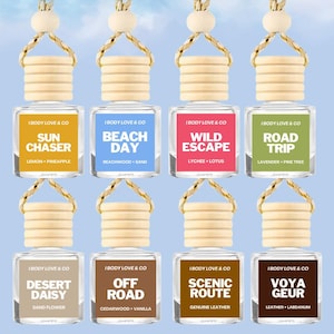 Summer Collection Car Freshener | Car Diffuser | Hanging Car Diffuser | Car Freshener | Refillable Car Diffuser | Car Accessories