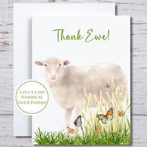 Bedankkaart schapen, bedankkaart schapen, bedankkaart ooievaar, schaapskudde, schapenliefhebber, schapenthema, boerderij, boerderijdier, heel erg bedankt