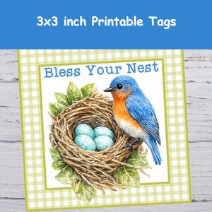 May include: Printable 3x3 inch tags with a bluebird perched near a nest with eggs. The tag has a green and white gingham border and the text "Bless Your Nest" in a blue banner.