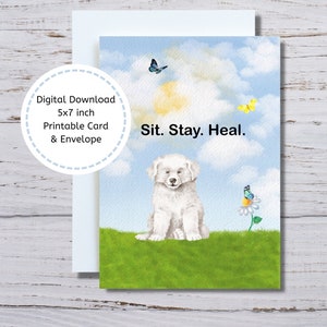 Get Well Card, Printable White Dog Get Well Card, Great Pyrenees Get Well Card to Download, Sit Stay Heal Card, Dog Lover Get Well Card