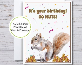 Squirrel Birthday Card, It's Your Birthday Go Nuts, Pun Birthday Card, Funny Birthday, Squirrel Pun, Card for Squirrel Lover, Squirrel Card