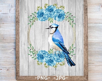 Blue Jay Printable, Blue Jay Print, Blue Jay Sublimation, Blue Jay Bird Wall Art, Blue Jay and Flowers, Bird Floral Art, Blue Jay Design