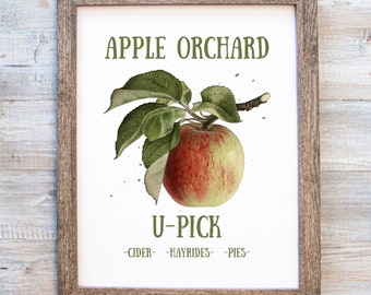 Apple Wall Art, Apple Orchard Printable, Fall Theme Digital Download, Apple Ready to Print, Farmhouse Gallery Wall, Apple Art, Apple Print